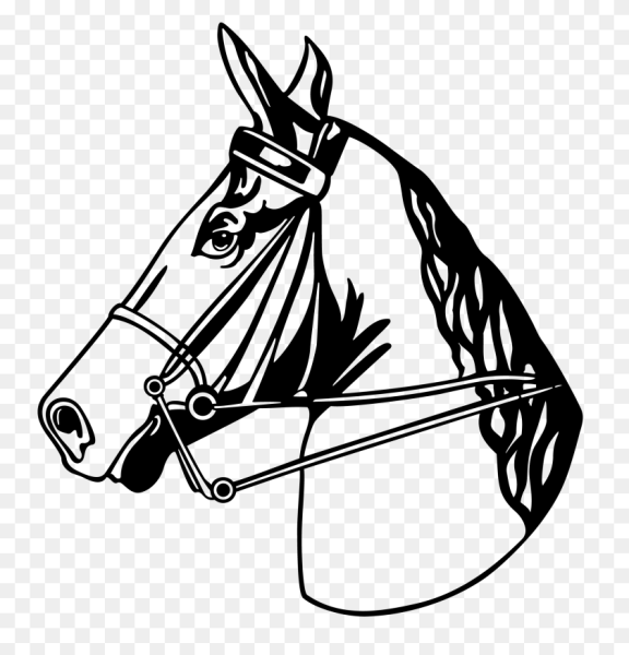 Изображение головы лошади черно белое