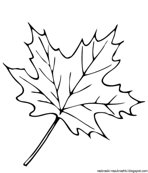 Кленовый лист раскраска