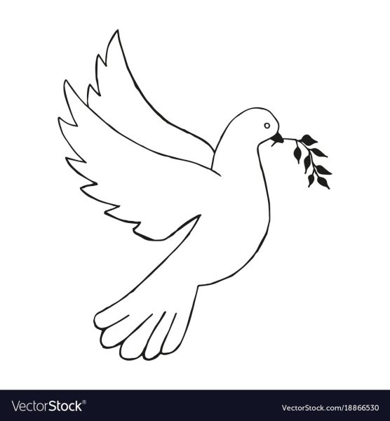 Голубь рисунок шаблон