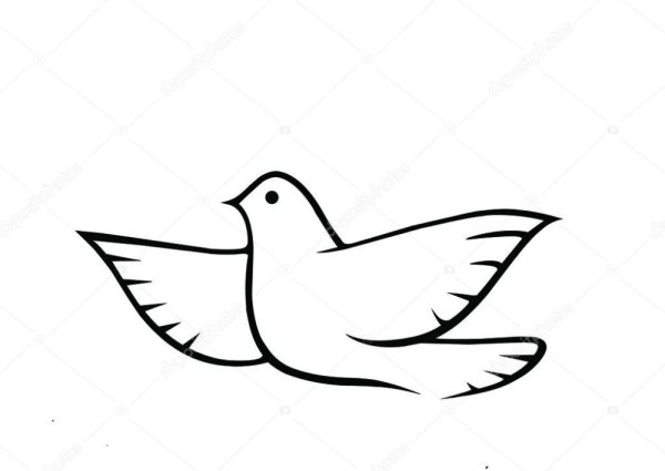 Голубь маленький шаблон