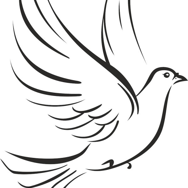 Голубь в полёте шаблон