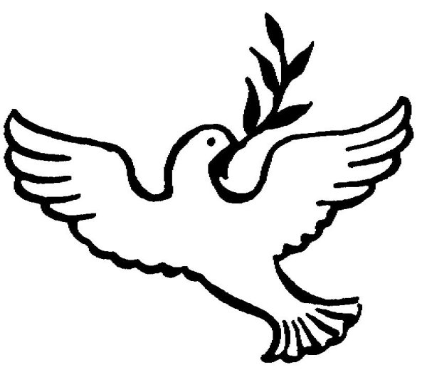 Голубь рисунок