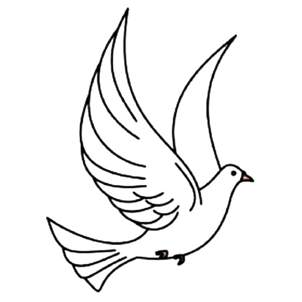 Летящий голубь рисунок