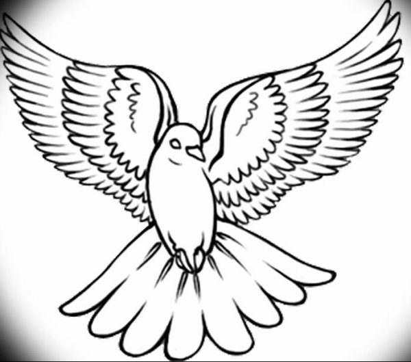 Трафарет голубя