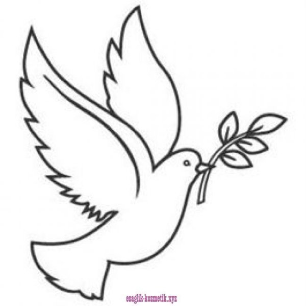Голубь с веткой трафарет