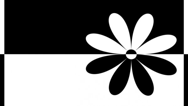 Черно белый контраст