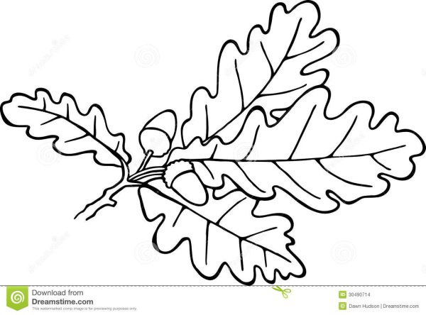 Дубовый лист черно белый