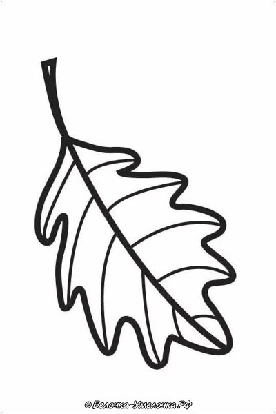 Осенние листья раскраска для детей