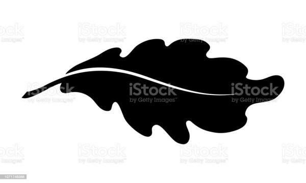 Дубовый лист вектор