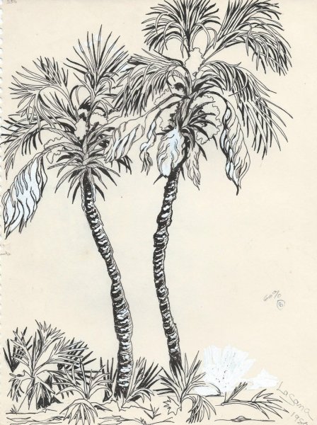 3 Пальмы рисунок карандашом