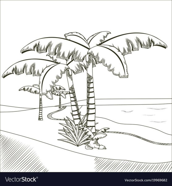 Раскраска три пальмы Лермонтов