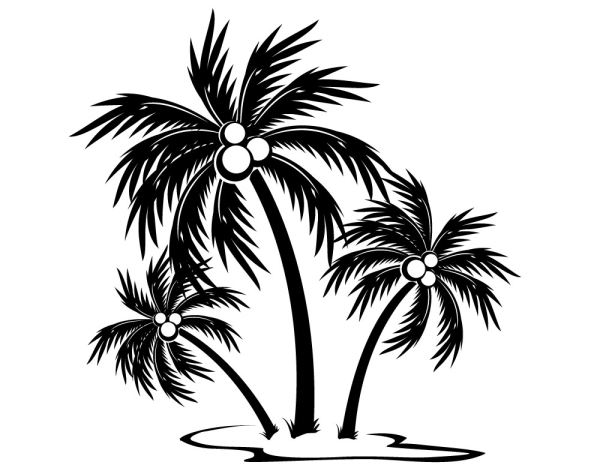 Пальма эскиз