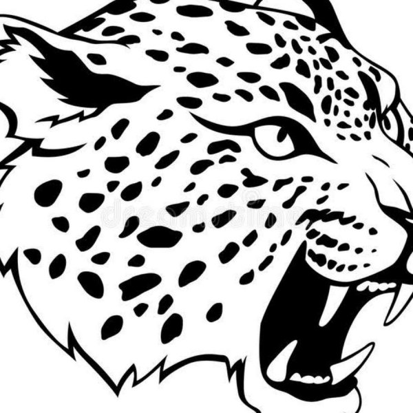 Голова леопарда