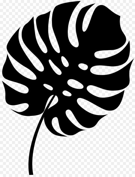 Monstera вектор