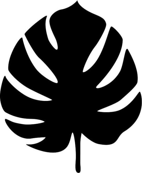 Тропические листья силуэт