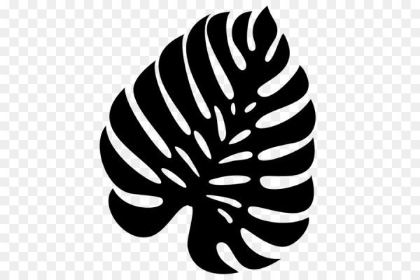 Лист монстеры