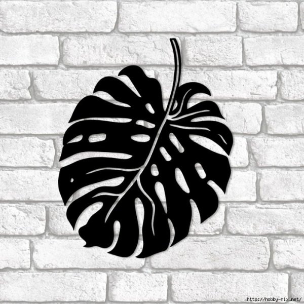 Лист монстеры