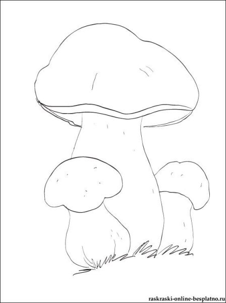 Гриб разукрашка белый гриб