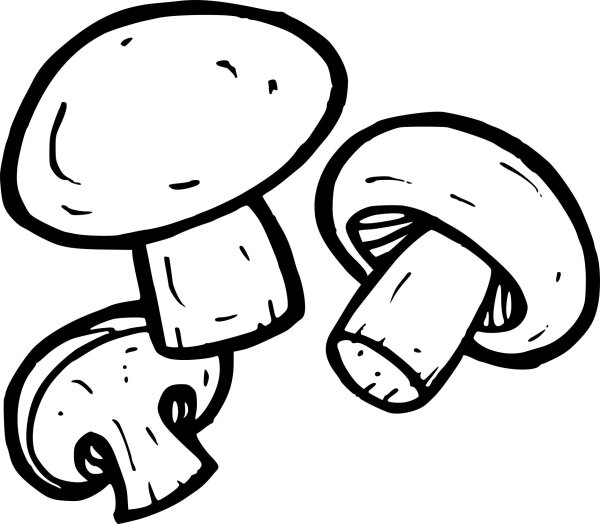 Шампиньон раскраска