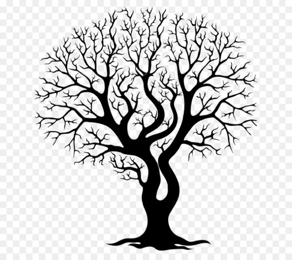 Дерево контур