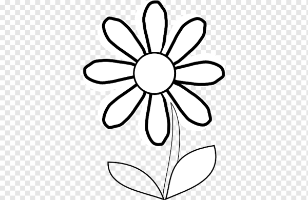 Ромашка черно белая