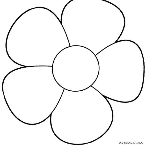 Раскраска цветок Ромашка
