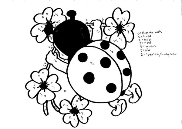 Божья коровка раскраска цветная