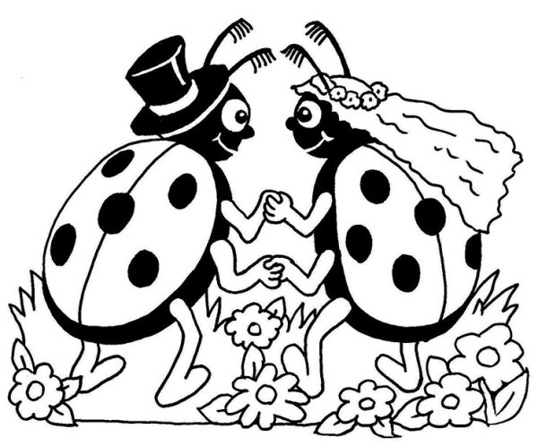 Раскраска Божьи коровки много