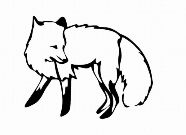 Лиса рисунок раскраска