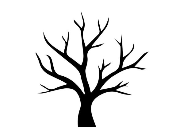 Силуэт дерева без листвы