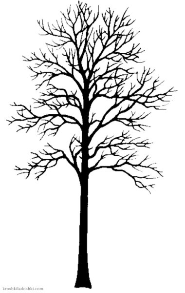 Силуэт дерева для детей