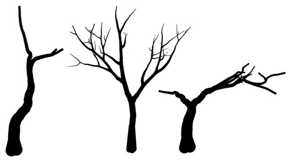 Ствол дерева силуэт