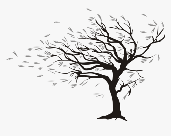 Дерево без листьев