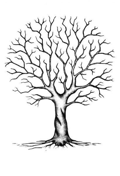 Дерево без листьев