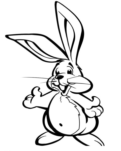 Заяц черно белый для детей