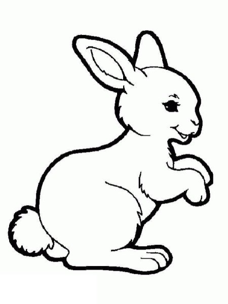 Рэббит заяц