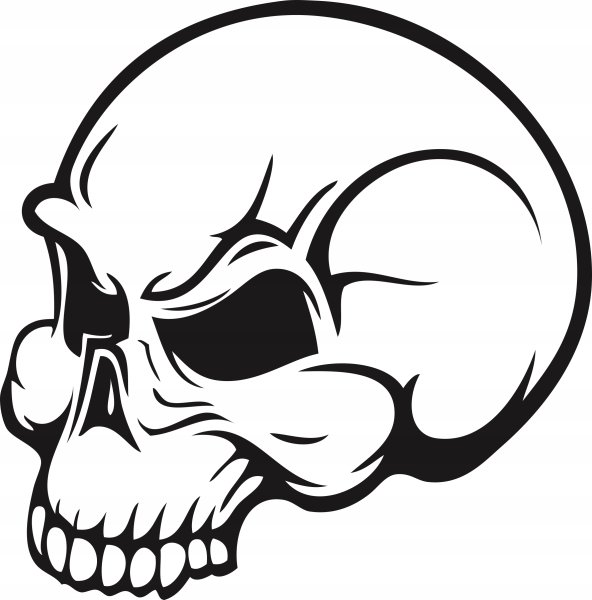 Черепок черно белый