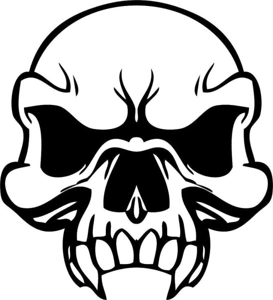 Череп контур