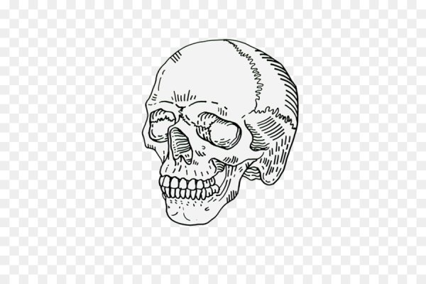 Череп тумблер