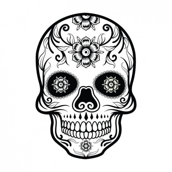 Череп векторное изображение