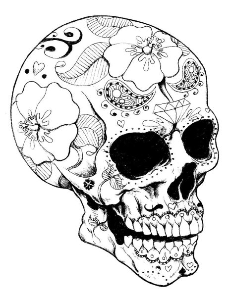 Череп рисунок