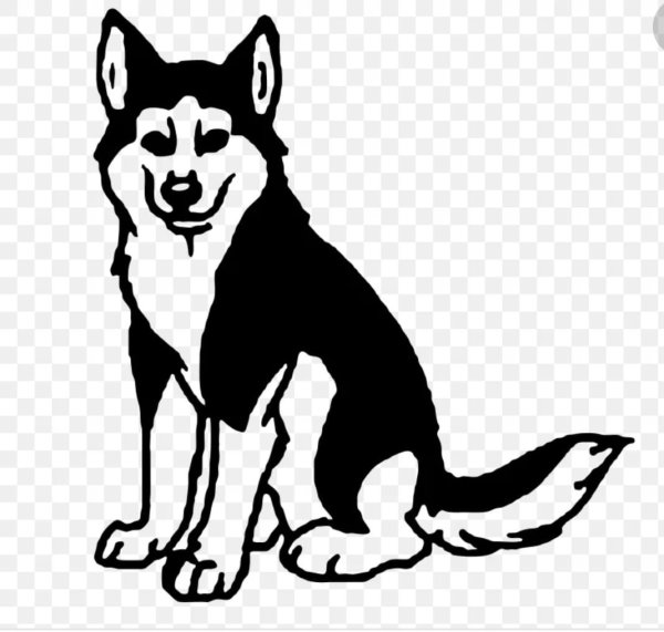 Хаски трафарет