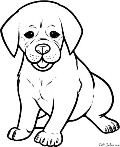 Раскраска черно белая собака