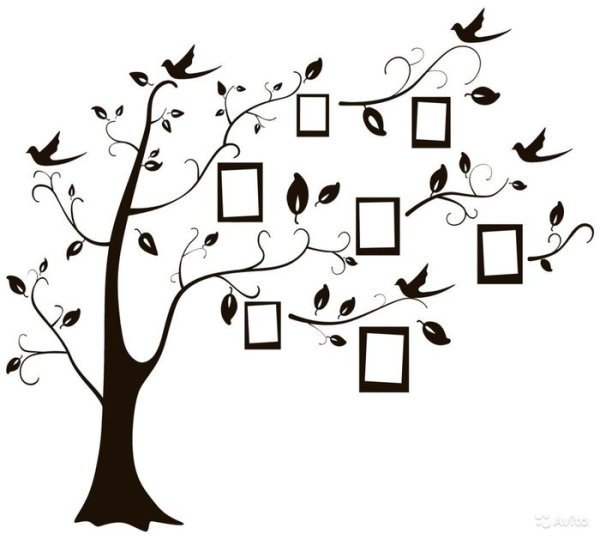 Эскиз семейного древа