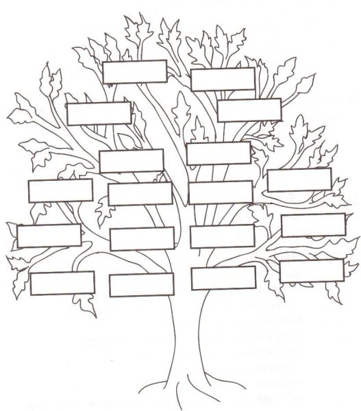 Родословное дерево для раскрашивания