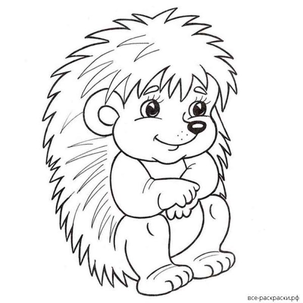 Раскраска Ёжик