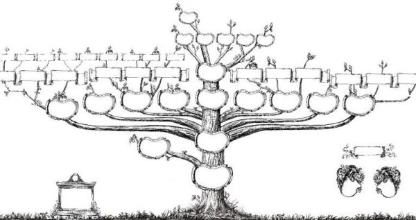 Эскиз генеалогического древа семьи