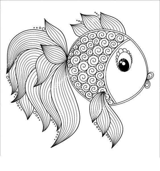 Золотая рыбка раскраска для детей