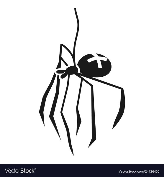 Паук с рисунком на спине