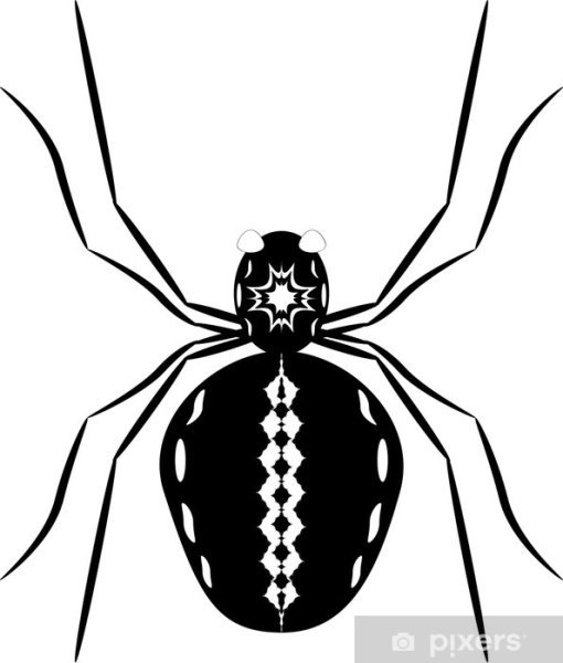 Паук крестовик черный с красным